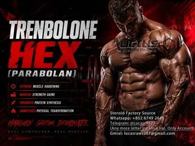 Mély merülés a trenbolon hex (parabolalan) hatásaiban: A testi funkcionális változások átfogó ele...
