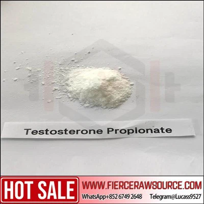 Prémium minőségű nyers por tesztoszteron propionát CAS: 57-85-2
